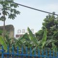 DSC00207
