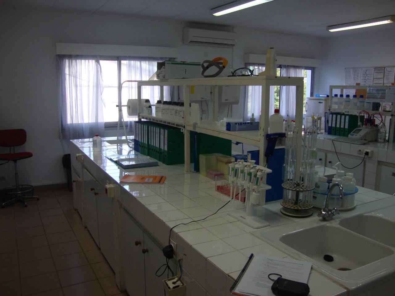 DSC00216