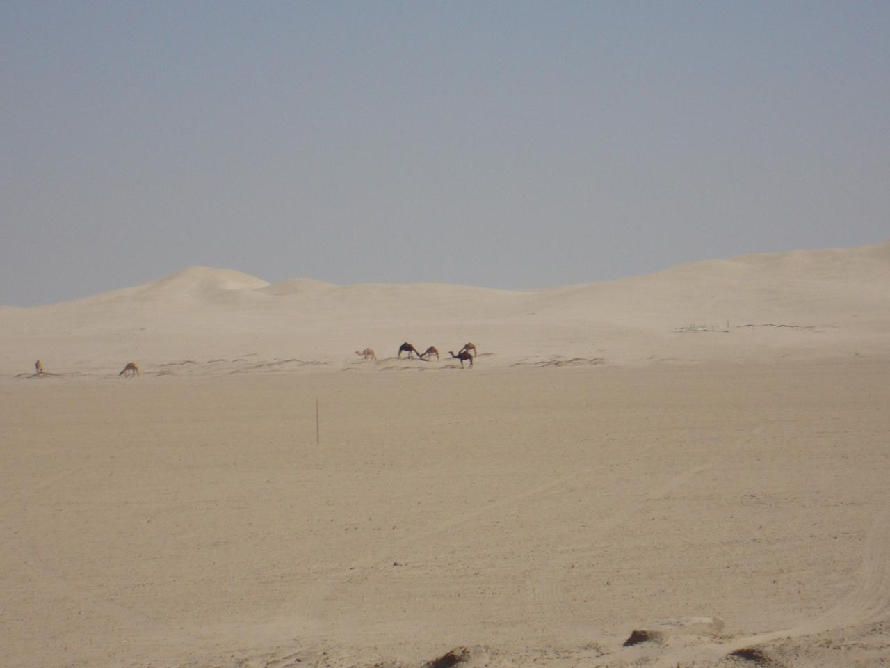 DSC09671