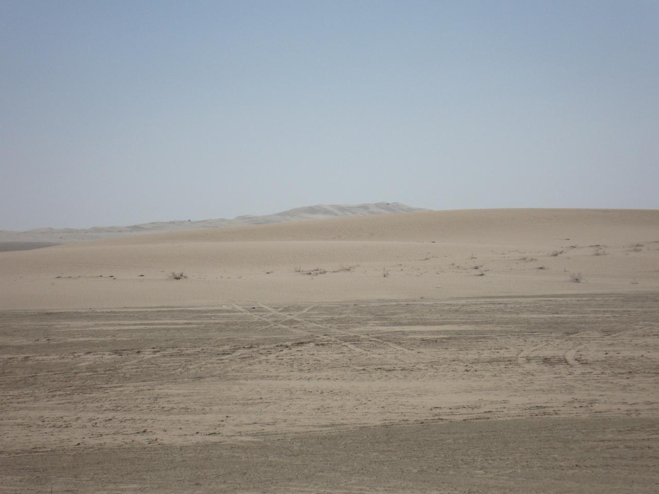 DSC09678