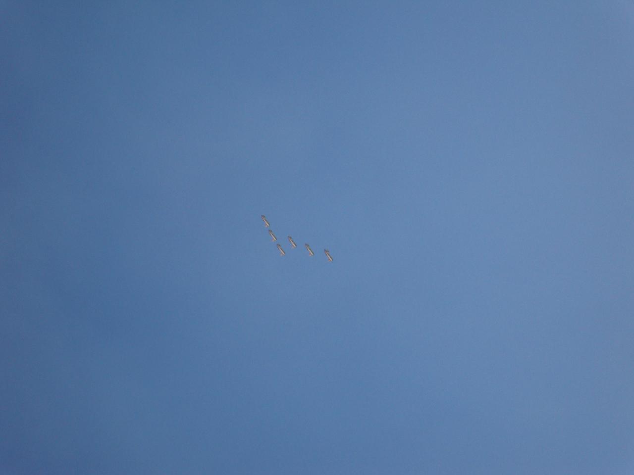 DSC09691