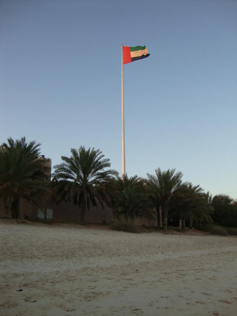 DSC09703