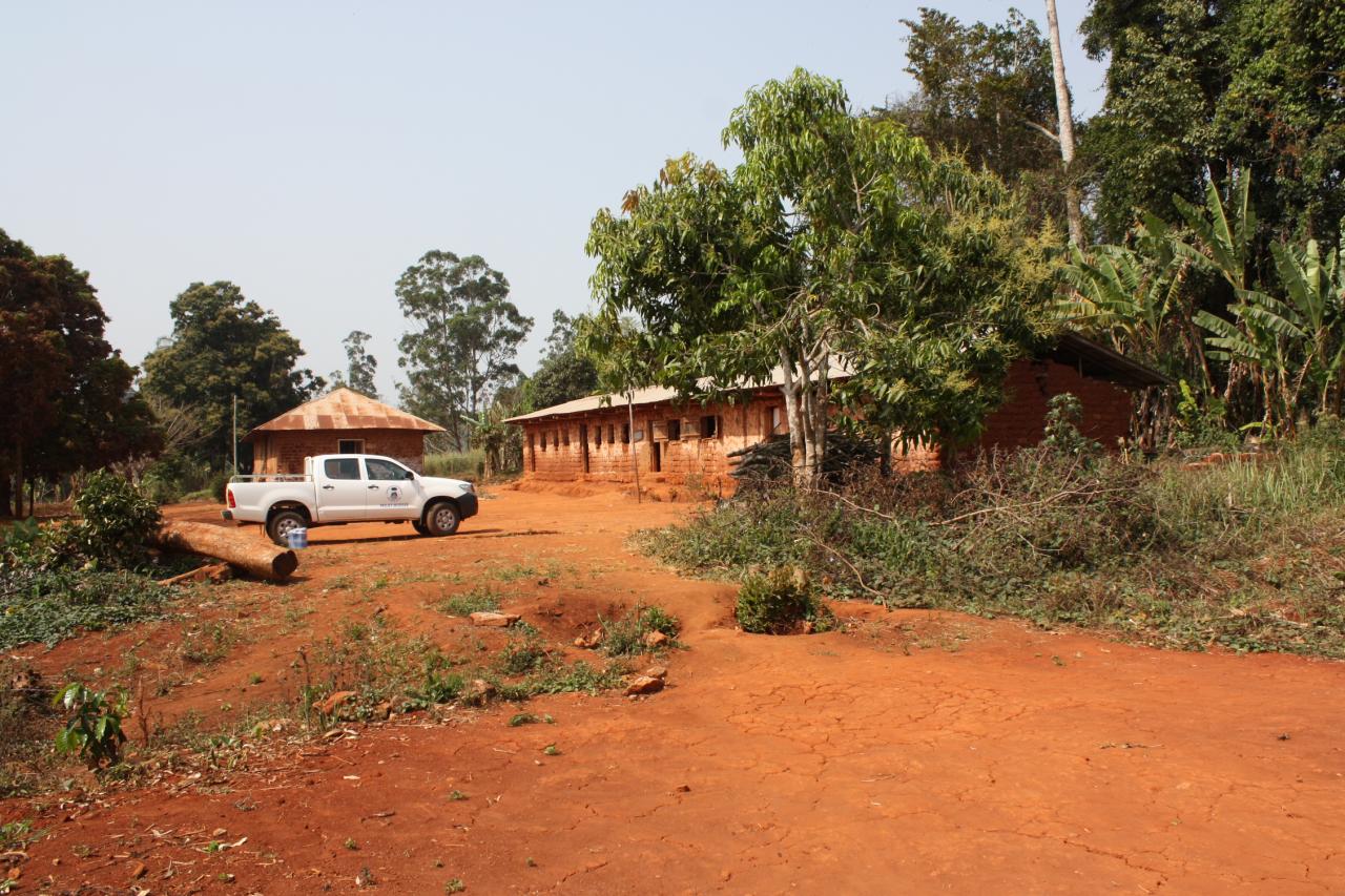 Ecole Catholique de Bangoua (5)