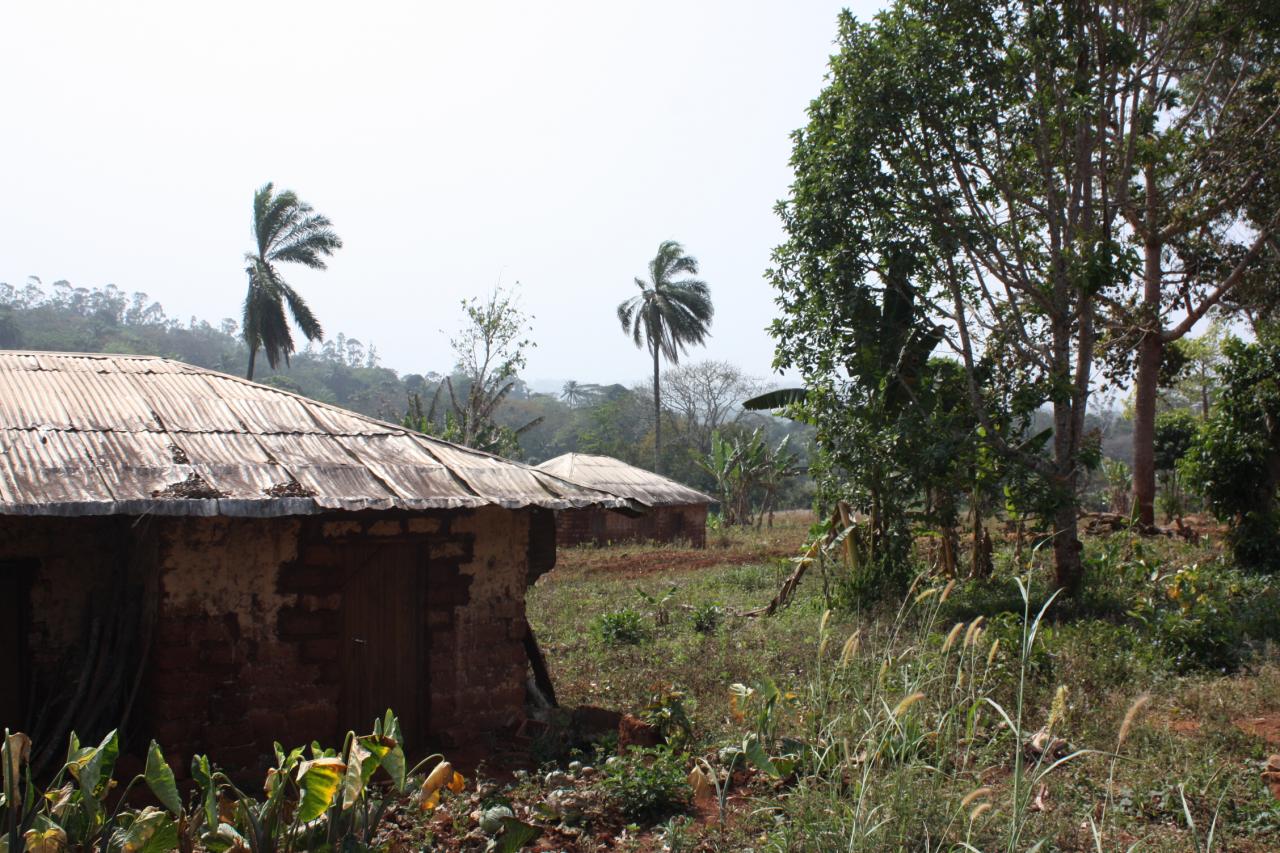 Ecole publique de Bangoua (5)
