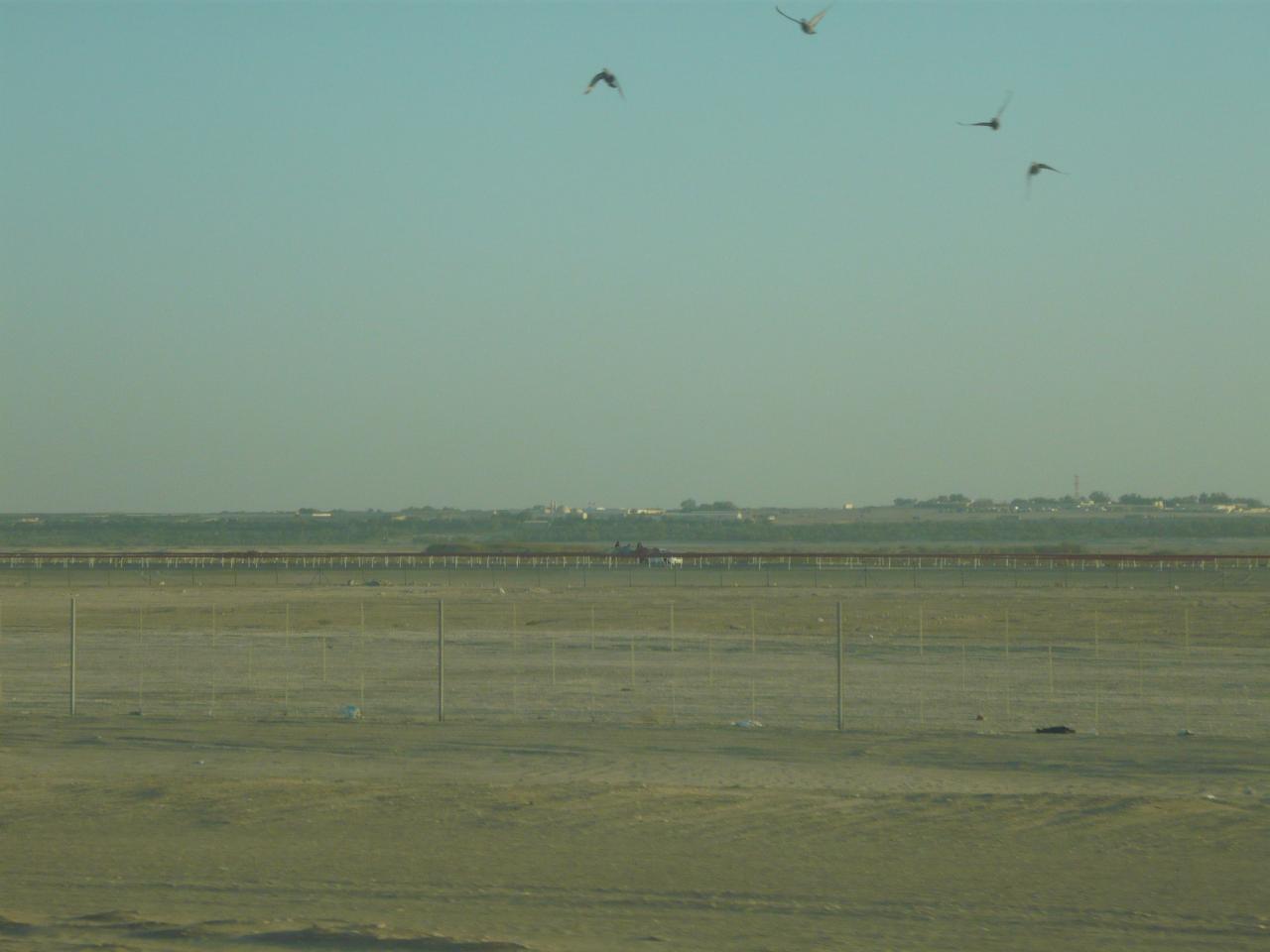 P1020802