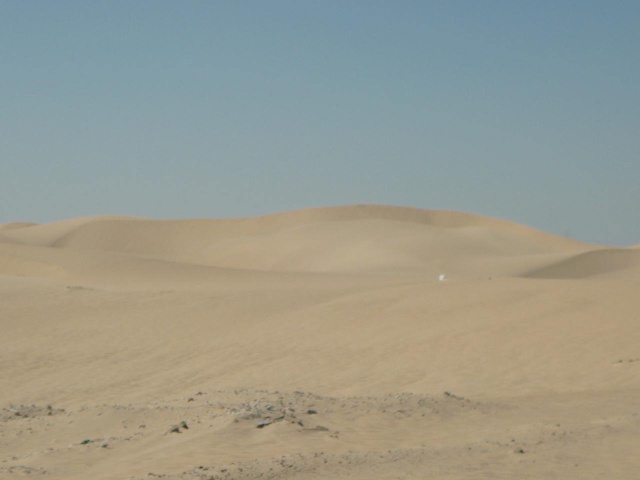 P1020843