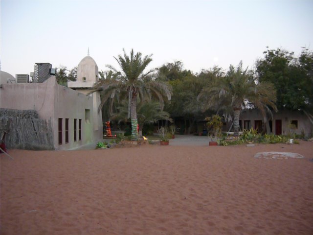 P1020866