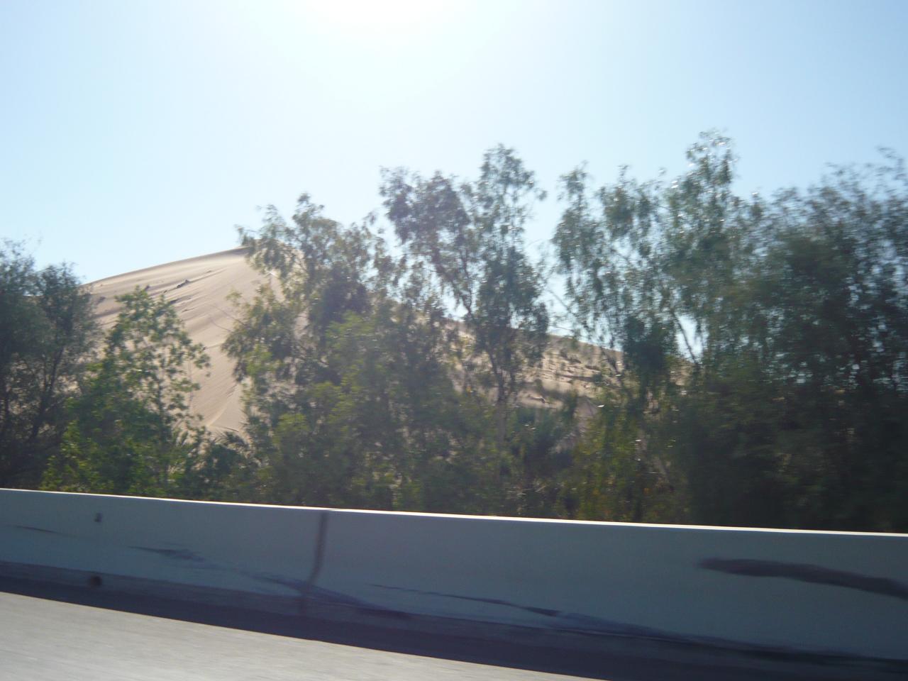P1020901