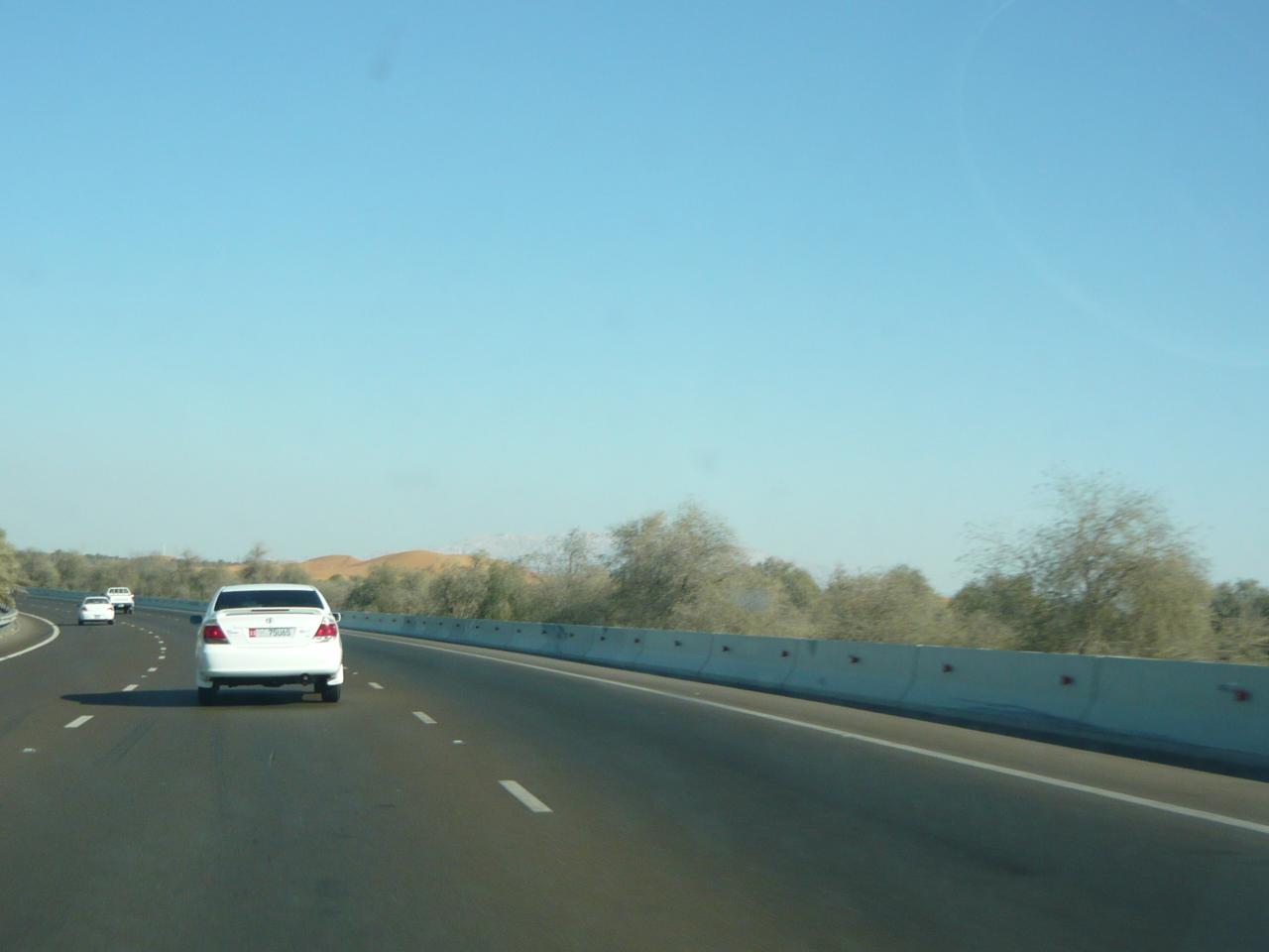P1020904