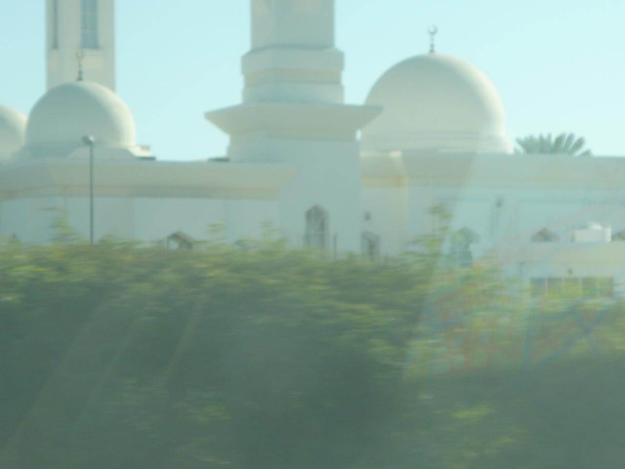 P1020908