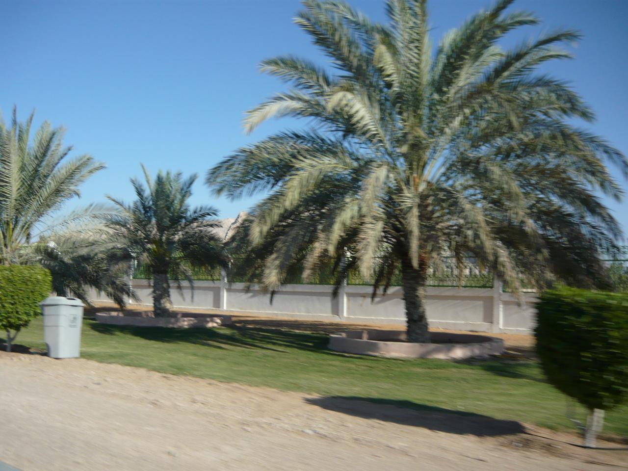 P1020911