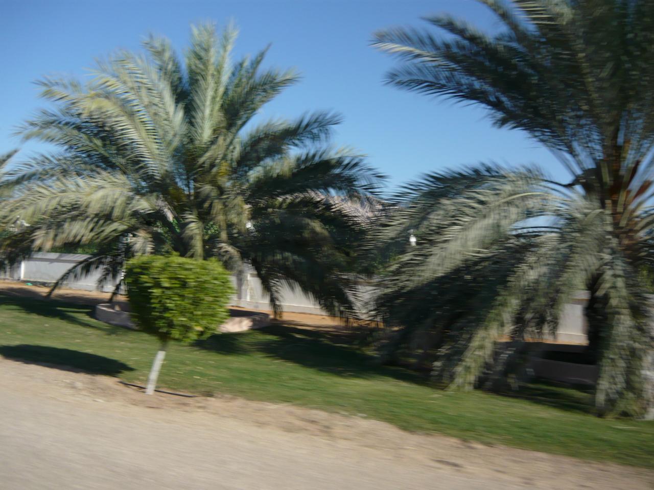 P1020912