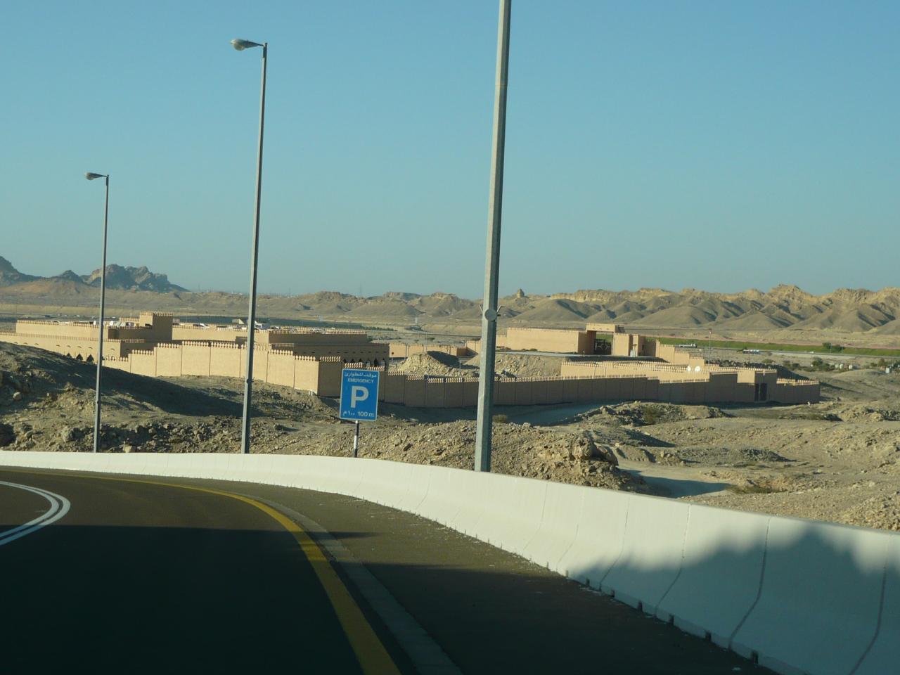 P1020954