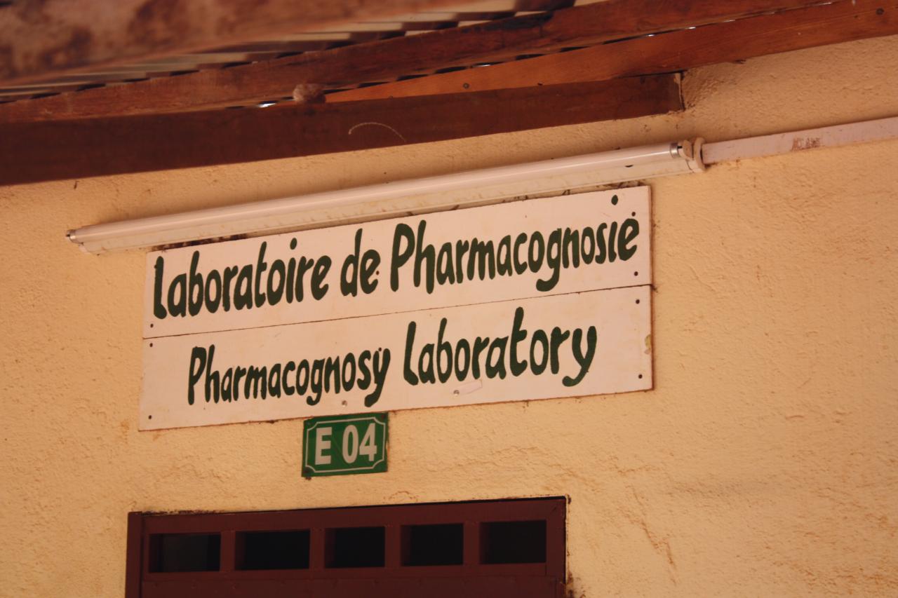 UDM (7)